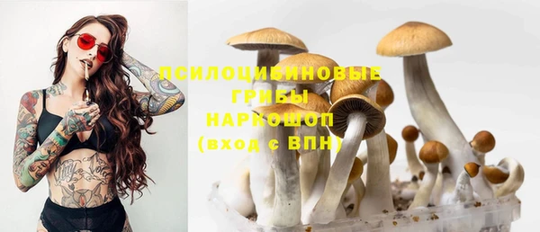 мет Алзамай