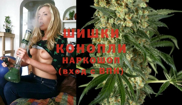 винт Алексин