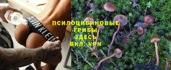 твердый Покровск