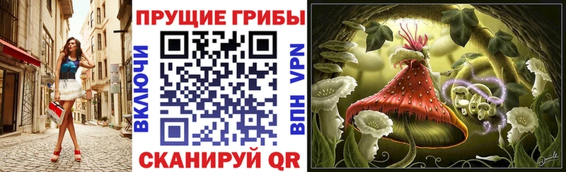 нарко площадка формула Долинск Галлюциногенные грибы GOLDEN TEACHER
